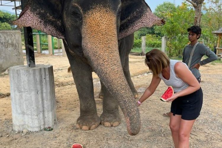 Image of Lindsay with an elephant